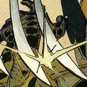 Detail from cover of Wolverine: Rahne of Terra graphic novel