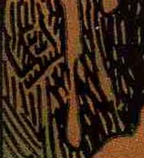 Cover artist signature, New Mutants #32