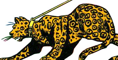 Catwomans jaguar