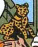 Catwoman's jaguar