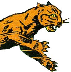 giant cat