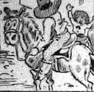 unnamed horse