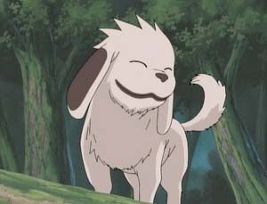 Ninja Dog (Akamaru)