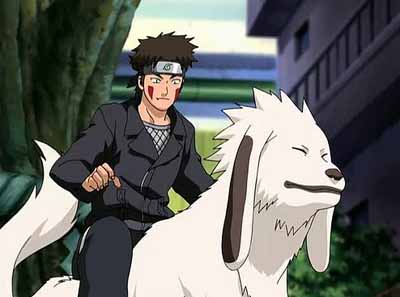 Ninja Dog (Akamaru)