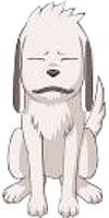 Ninja Dog (Akamaru)