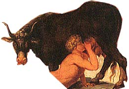Audhumla