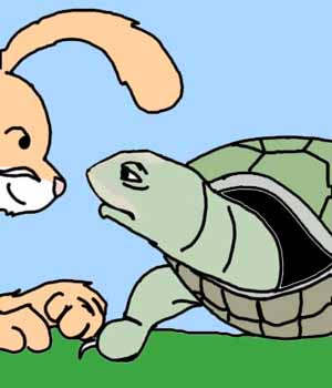 Brer Terrapin