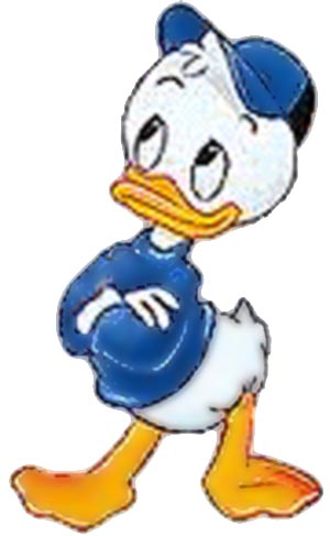 Dewey (Deuteronomy Duck)