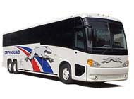 Greyhound