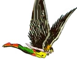 Hawkgirl (Shiera Sanders Hall)