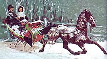 the horse