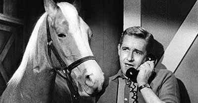 Mister Ed