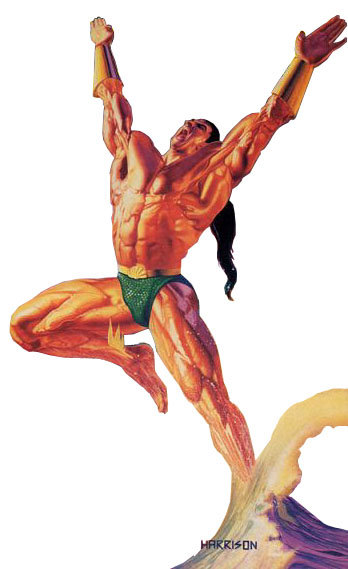 The Sub-Mariner (Namor)