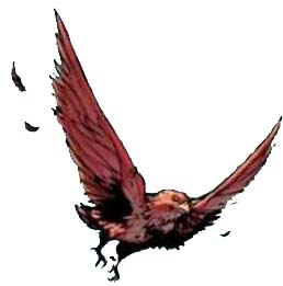 Redwing