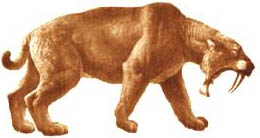 saber-toothed cats