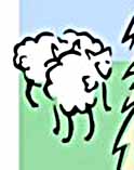 the sheep in the meadow