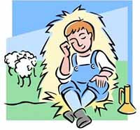 the sheep in the meadow