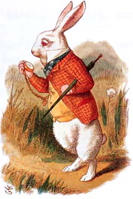 The White Rabbit