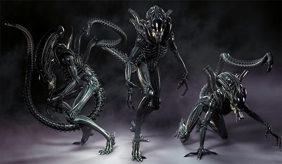 Xenomorphs