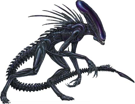 Xenomorphs