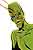 Ambush Bug