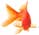 goldfish
