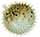 pufferfish