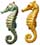 seahorses